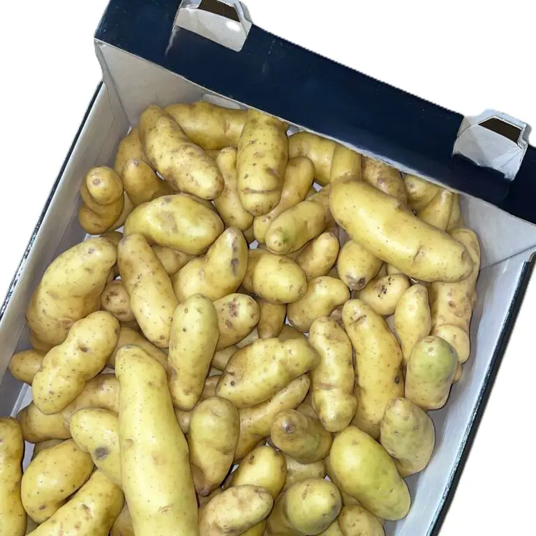 ratte potatoes.webp